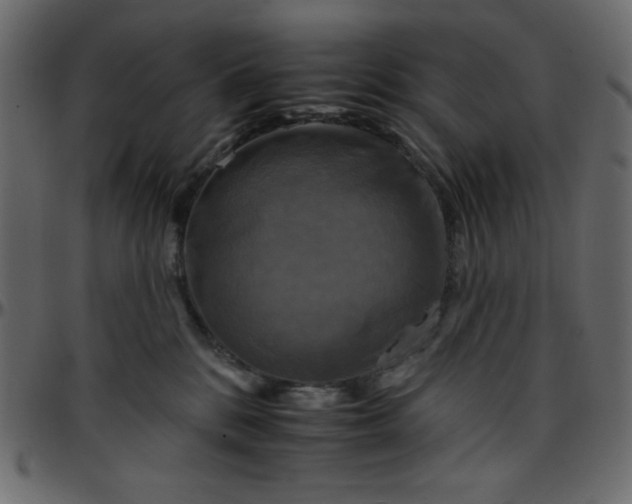 X0000095670328200801221209