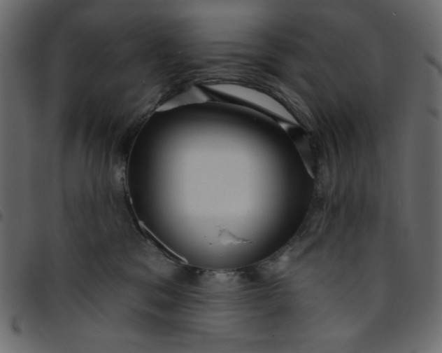 X0000095670329200801221209