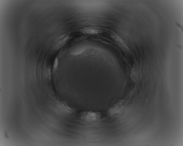 X0000095670330200801221209