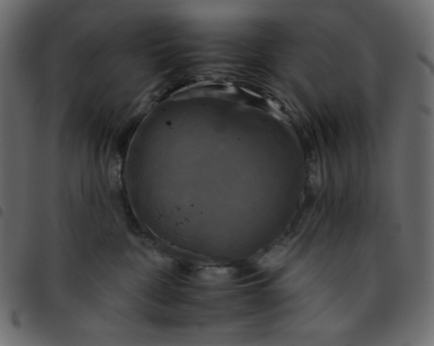 X0000095670332200801221209