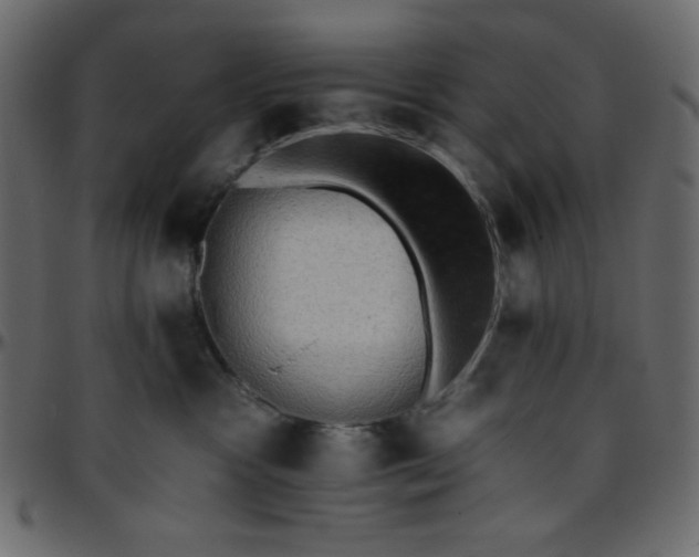 X0000095670333200801221209