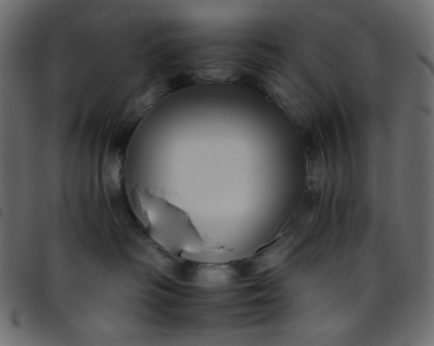 X0000095670334200801221209