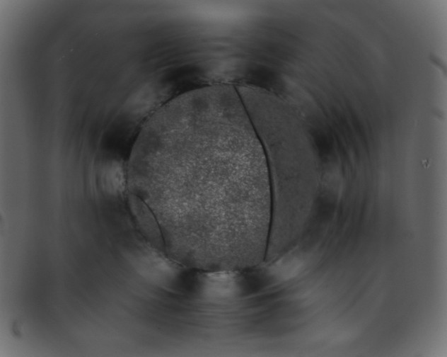 X0000095670335200801221209