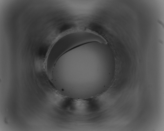 X0000095670336200801221209