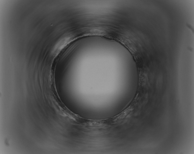 X0000095670338200801221209