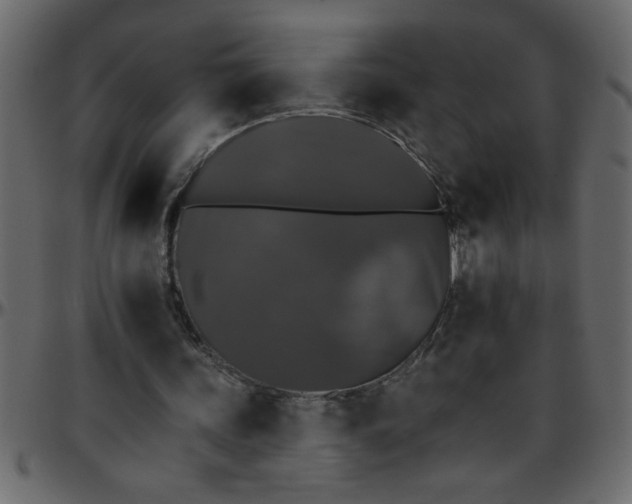 X0000095670339200801221209