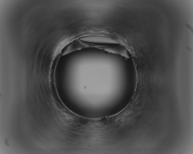 X0000095670340200801221209