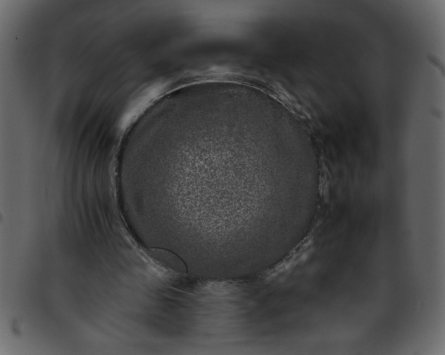 X0000095670341200801221209