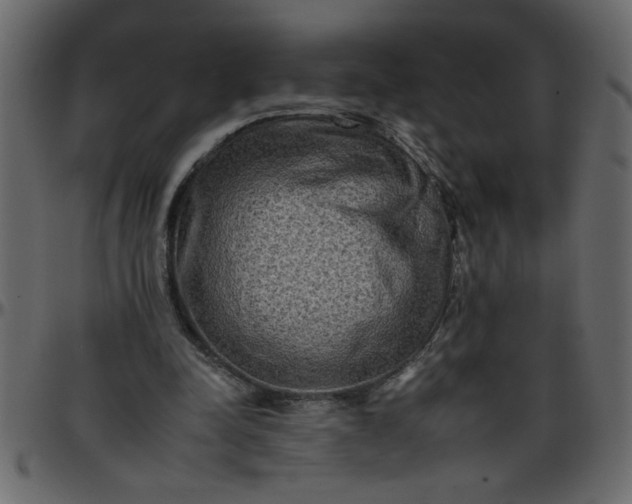 X0000095670342200801221209