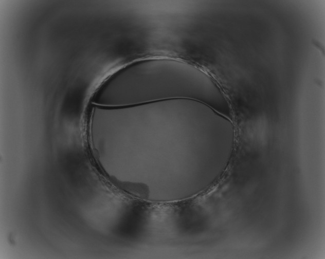 X0000095670343200801221209