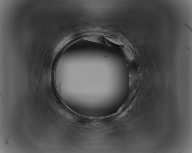 X0000095670344200801221209