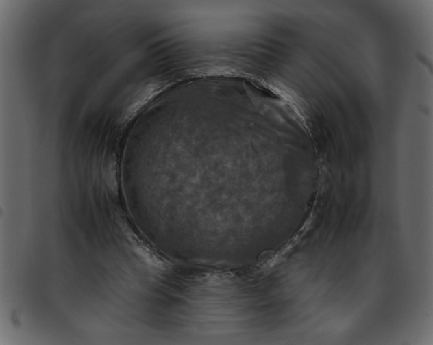 X0000095670345200801221209