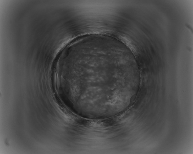 X0000095670346200801221209