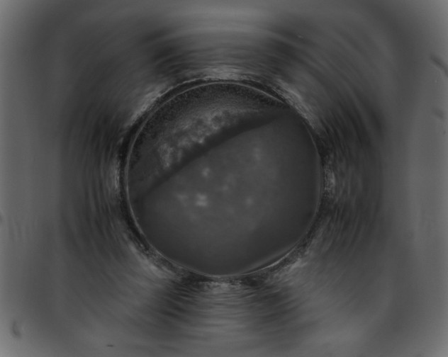 X0000095670347200801221209