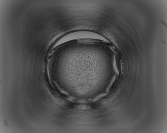 X0000095670348200801221209