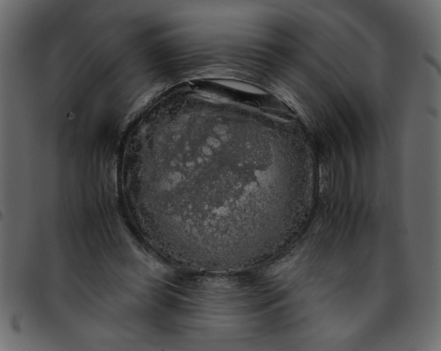 X0000095670349200801221209