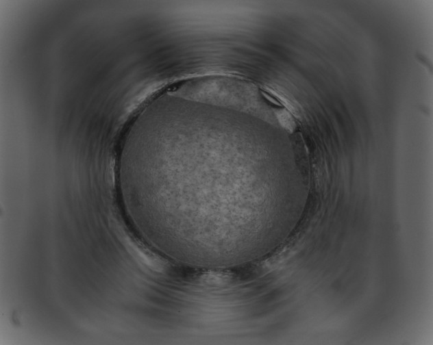 X0000095670350200801221209