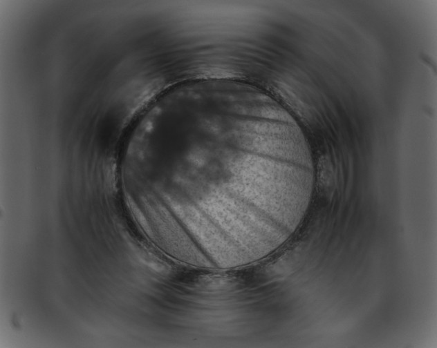 X0000095670351200801221209