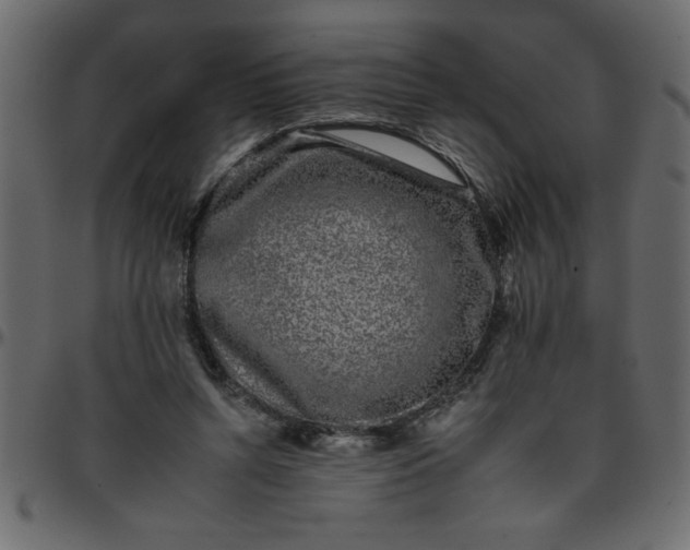 X0000095670352200801221209