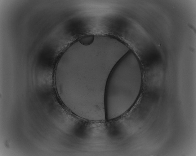 X0000095670353200801221209