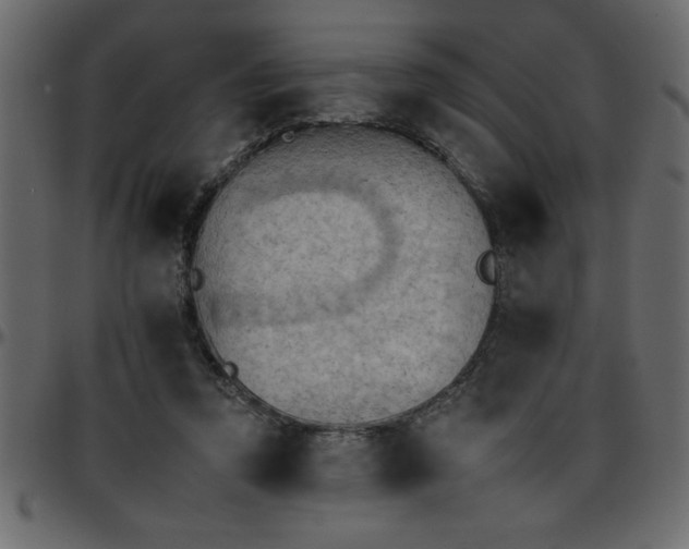 X0000095670354200801221209