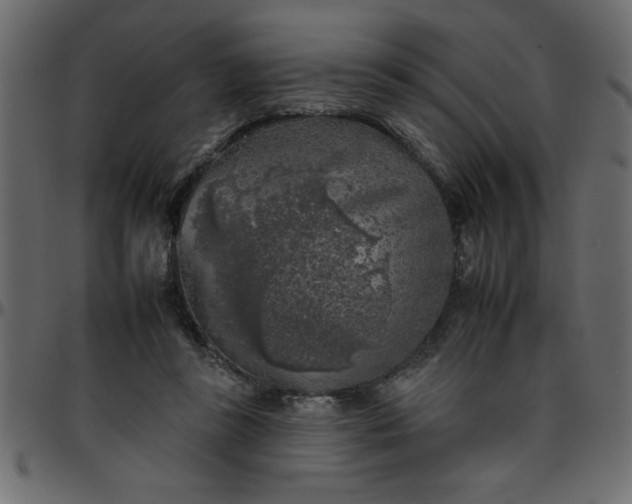 X0000095670355200801221209