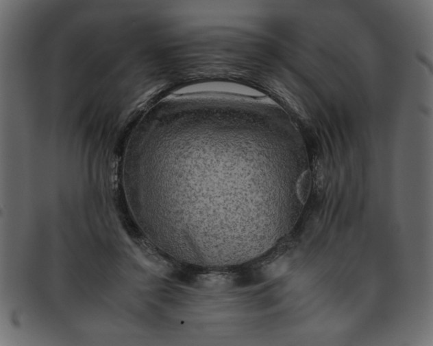 X0000095670356200801221209