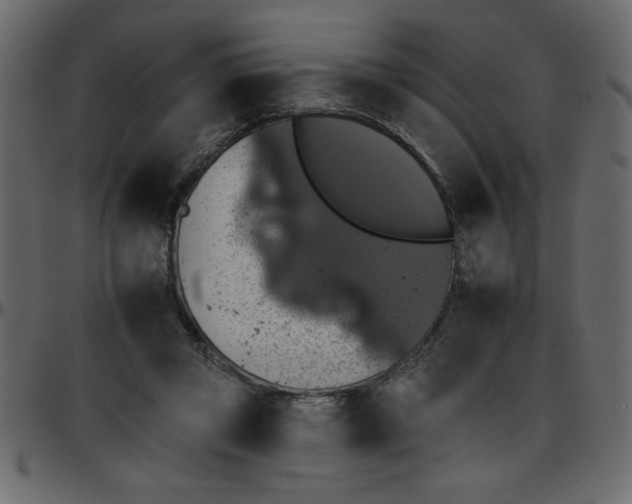 X0000095670357200801221209