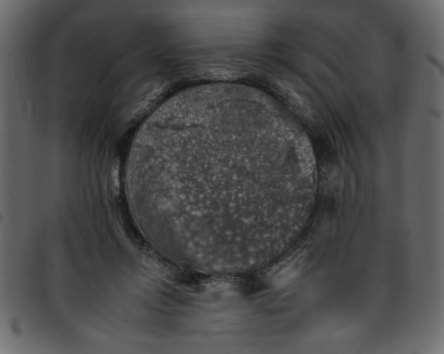 X0000095670358200801221209