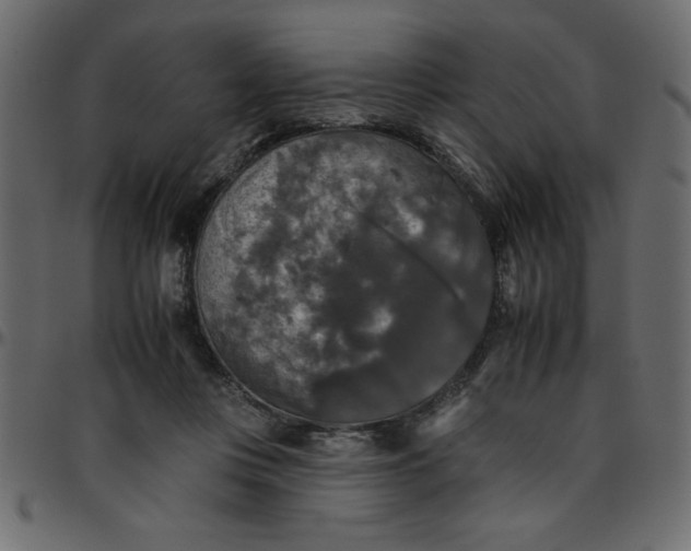 X0000095670359200801221209