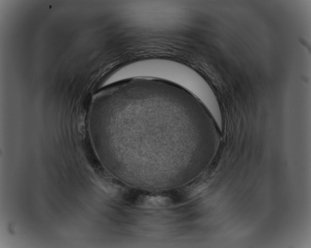 X0000095670360200801221209