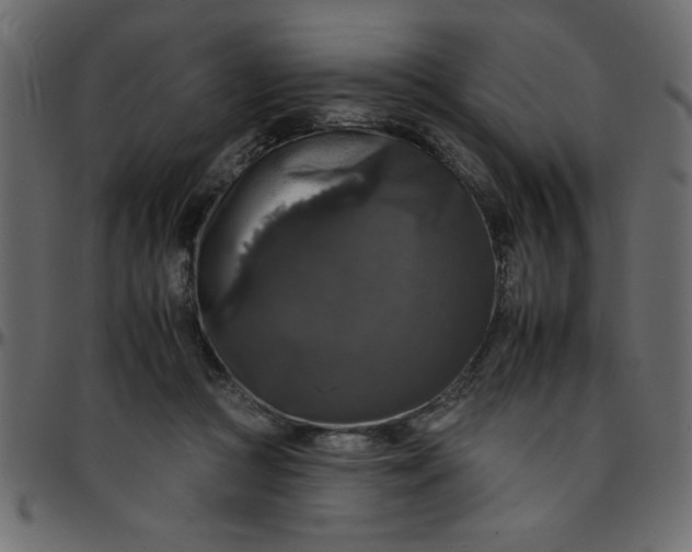 X0000095670361200801221209