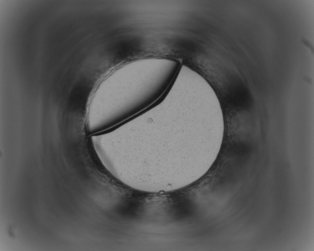 X0000095670362200801221209