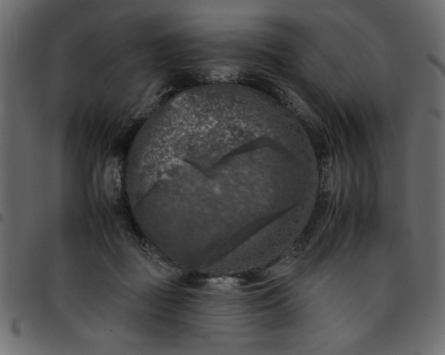 X0000095670363200801221209