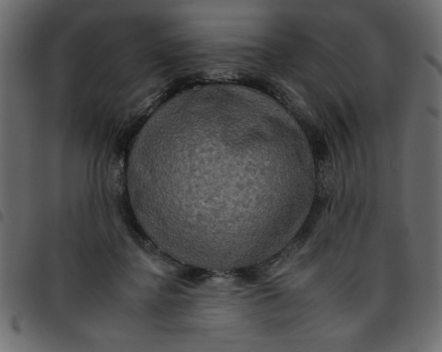 X0000095670364200801221209