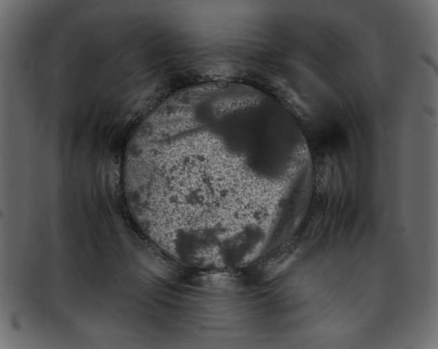 X0000095670365200801221209