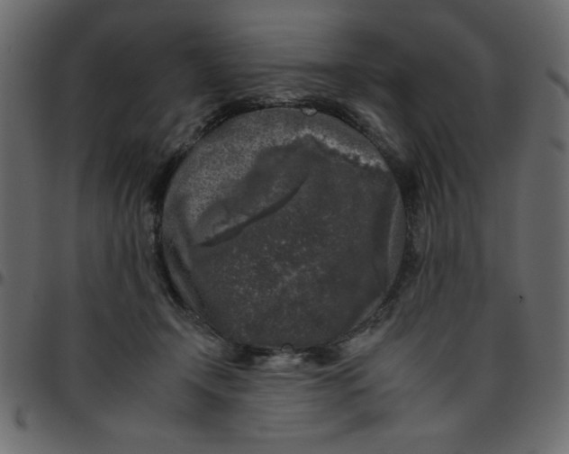 X0000095670366200801221209