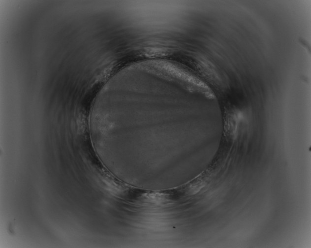 X0000095670367200801221209