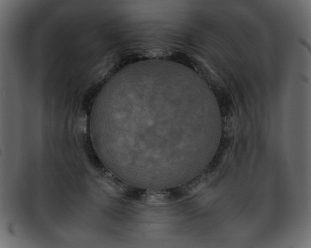 X0000095670368200801221209