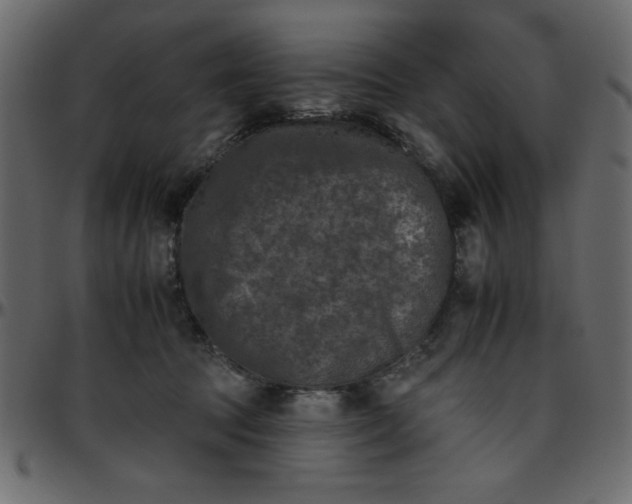 X0000095670369200801221209