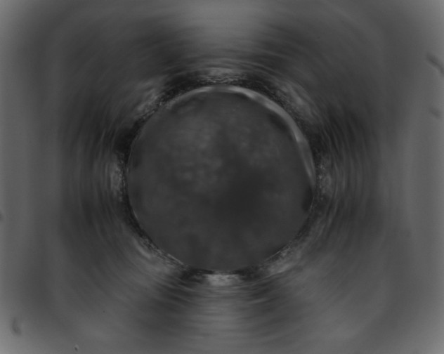 X0000095670371200801221209