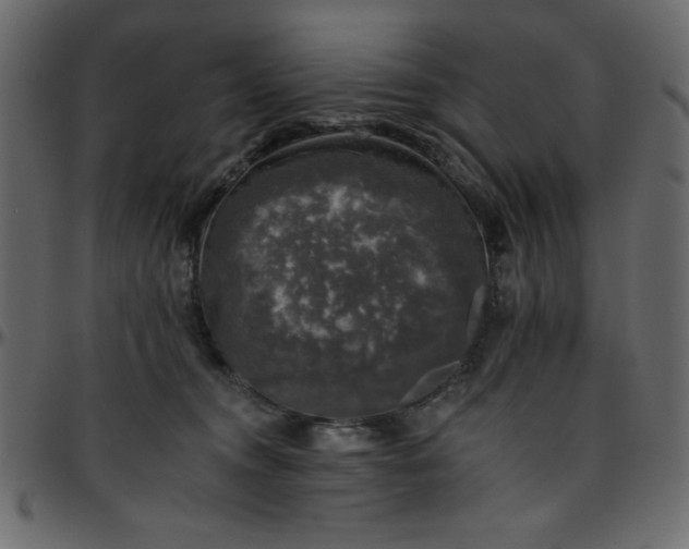 X0000095670372200801221209