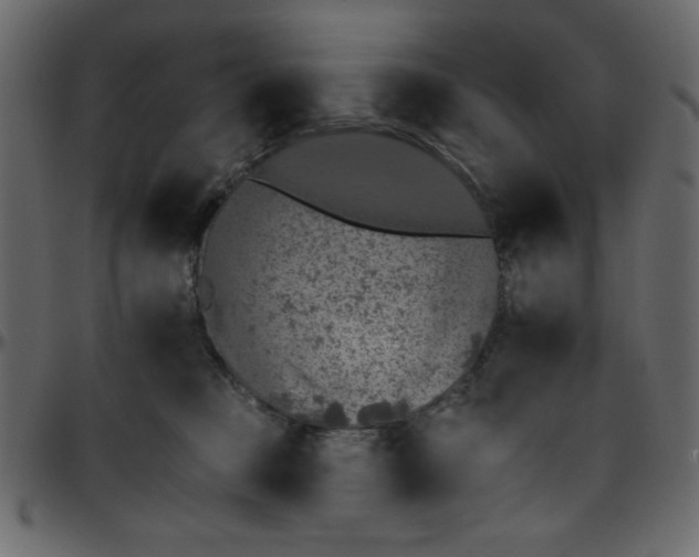 X0000095670373200801221209