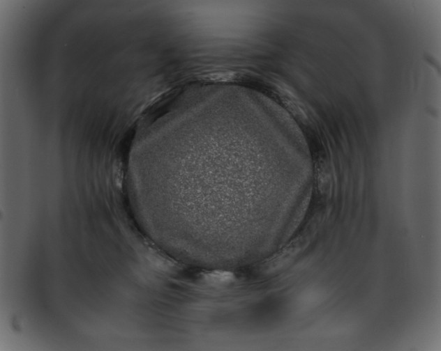 X0000095670374200801221209