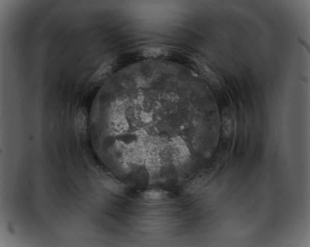 X0000095670375200801221209