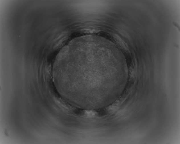 X0000095670376200801221209