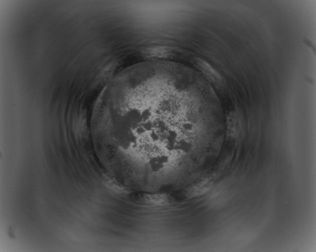 X0000095670377200801221209