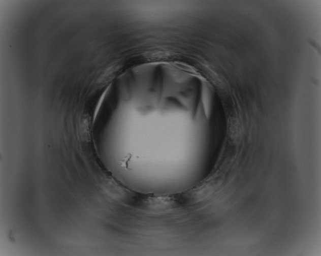 X0000095670378200801221209