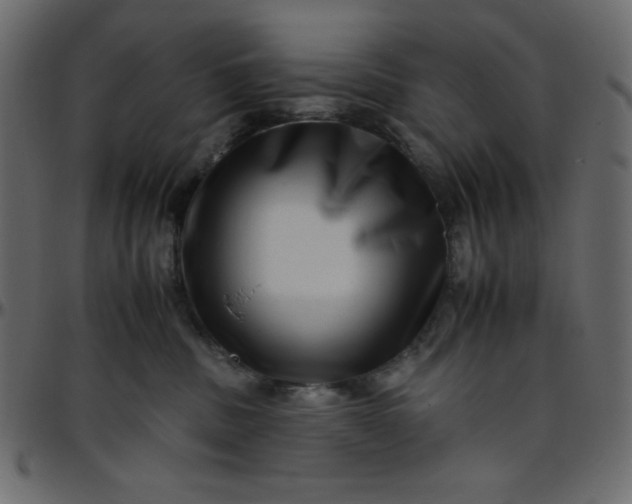 X0000095670379200801221209