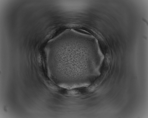 X0000095670380200801221209